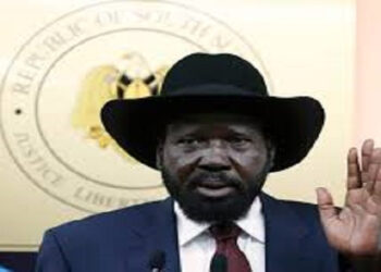 South Sudan election law sparks MPs’ walkout