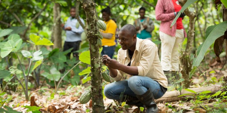 Ghana COCOBOD Empowers Cocoa Farmers in Western North Region to Combat Climate Change