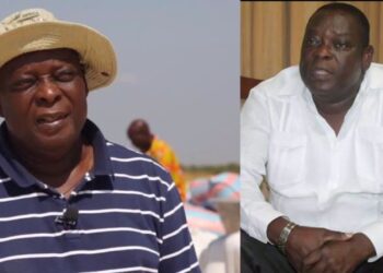 Ex-Ghana Defense Minister Mark Woyongo Dies at 74