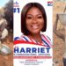 Harriet Kyeremanteng Oppong Rescues Nyamebekyere with Water Solution, Fixes Long-standing Borehole Issue