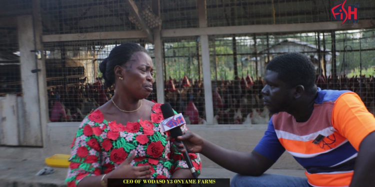 Video: I Have Over 30,000 Poultry Fowls Now, But My Husband Isn’t In Support Of What I Do – Female Farmer Reveals