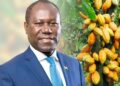 We’re Cutting Down Cost Of Operation As Part Of Turnaround Measures – COCOBOD CEO