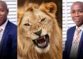 Lion Eats Man Who Took Care Of It For Nine Years