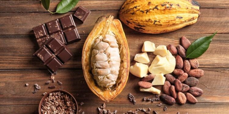 Chocolate prices to keep rising as West Africa’s cocoa crisis deepens