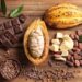 Chocolate prices to keep rising as West Africa’s cocoa crisis deepens