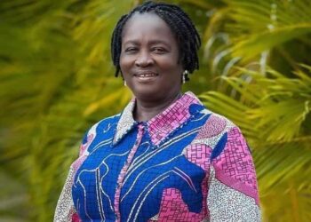 Jane Naana Brings Traces Of Academia Into Decision Making, Which Is Good’ – Appiah-Kubi