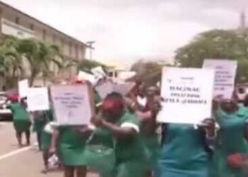 Ministry Of Health Starts Processes To Secure Financial Clearance For Unemployed Nurses And Midwives