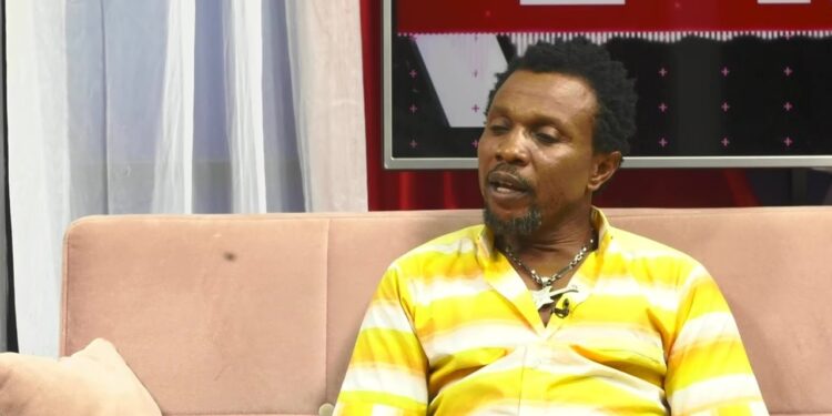 Creative arts and culture should have a separate Ministry – Kaakyire Kwame Appiah