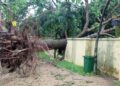 Rainstorm wreaks havoc in Keta and Anloga districts, residents count their losses