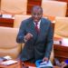 Afenyo-Markin gets top ECOWAS Parliament post