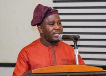 Dumsor: You should resign by now – IES Director tells Napo [Listen]