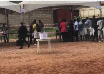 1,300 NPP delegates vote in La Dade-Kotopon parliamentary primary