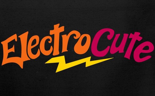 Man, 20, electrocuted after heavy rainstorm in Central Tongu District