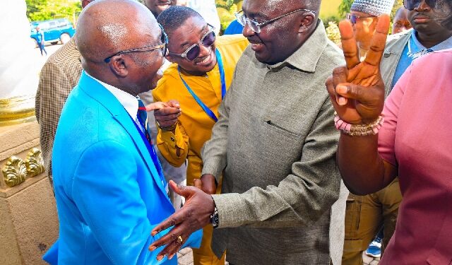 Collective efforts needed to win galamsey fight, says Bawumia