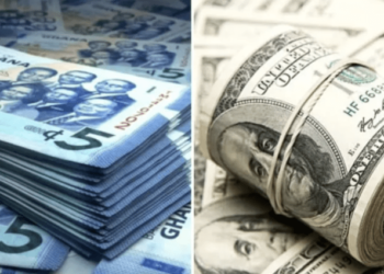 Jitters in an election year, over-reliance on import are causes of Cedi’s problems – Economist