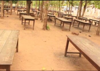 Lassia Tuolu students turn tree shade as makeshift dining space following fire outbreak