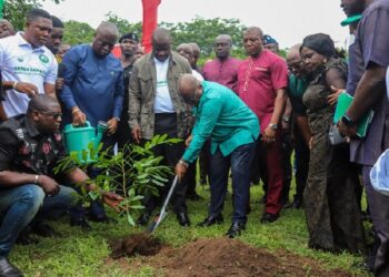30m seedlings survive out of 41m planted since 2021 – Jinapor