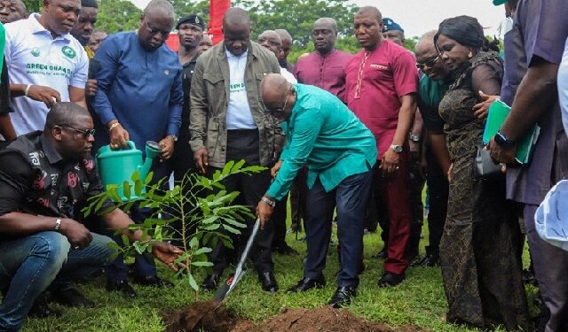 30m seedlings survive out of 41m planted since 2021 – Jinapor