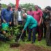 30m seedlings survive out of 41m planted since 2021 – Jinapor