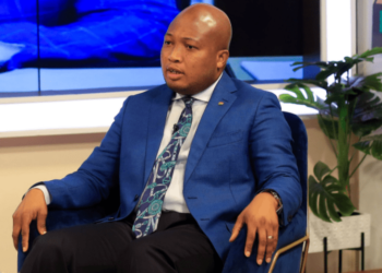 The canker of state capture will soon be vanquished under Mahama – Ablakwa