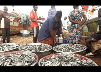 Closed Fishing Season commences