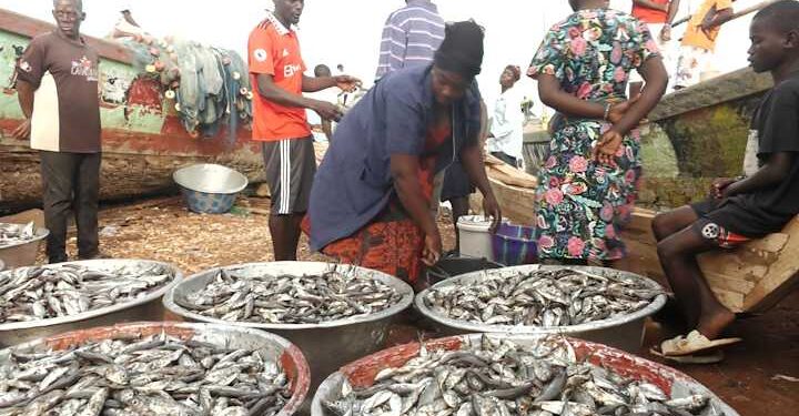 Closed Fishing Season commences