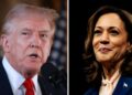 Debate showdown between Trump and Harris set for September