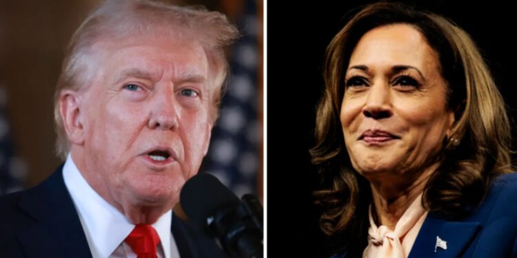 Debate showdown between Trump and Harris set for September