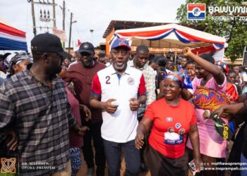 Ghana has no business in the past – NAPO