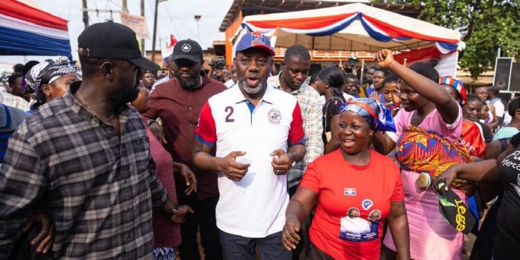 Ghana has no business in the past – NAPO