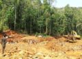 L.I which permits mining in forest reserves is a bad law, repeal it immediately – Nature & Dev’t Foundation.