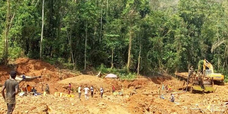 L.I which permits mining in forest reserves is a bad law, repeal it immediately – Nature & Dev’t Foundation.