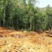 L.I which permits mining in forest reserves is a bad law, repeal it immediately – Nature & Dev’t Foundation.