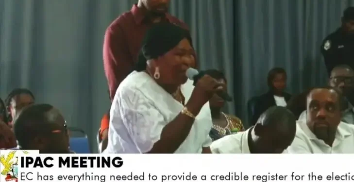IPAC meeting: Akua Donkor goes off on NDC for ‘worrying’ EC over ‘flawless’ voters’ register.