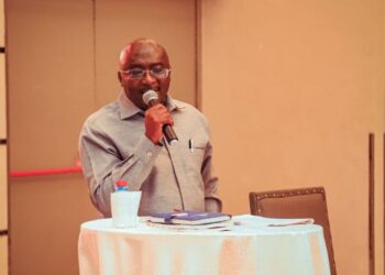 I want to build a modern, inclusive country anchored by systems and data – Bawumia to CSOs