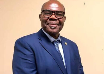 Allegations against EC Chair don’t meet the threshold for removal’, says Ayikoi Otoo