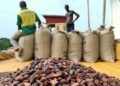 3 arrested over alleged smuggling of cocoa beans