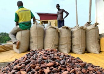 3 arrested over alleged smuggling of cocoa beans