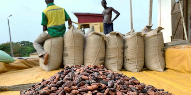 3 arrested over alleged smuggling of cocoa beans