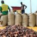 3 arrested over alleged smuggling of cocoa beans