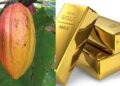 Gold, cocoa prices to surge in 2025, but crude oil to tumble – Report