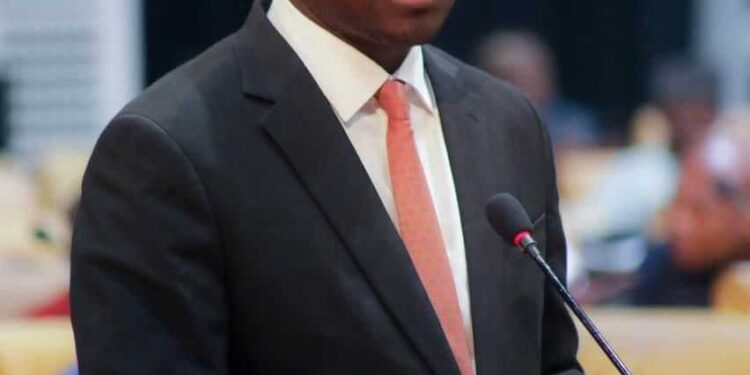 Finance Minister designate eyes IMF support and economic overhaul