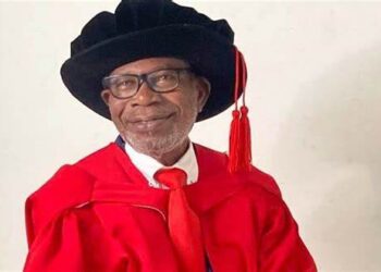 NPP needs unity to move forward – Founding Member Insist