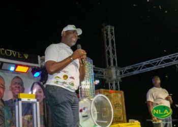 NLA boss cautions public against fraudsters