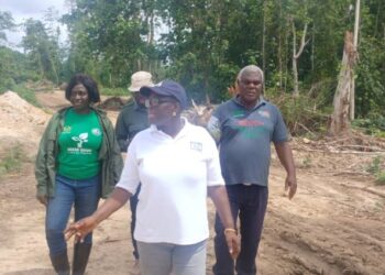 Forestry Commission demands permanent military presence to reclaim Jimirah forest from illegal miners
