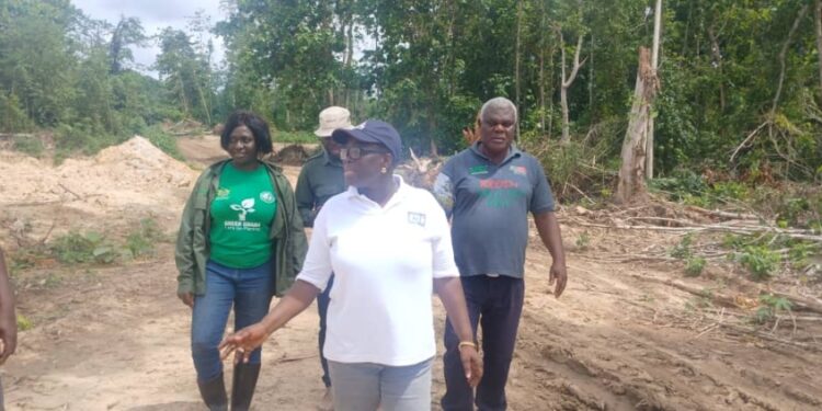 Forestry Commission demands permanent military presence to reclaim Jimirah forest from illegal miners