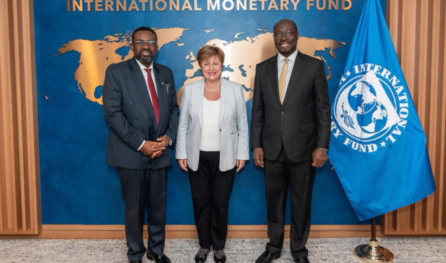 ‘We’ve already hit IMF target’ – BoG Deputy Governor declares reserve milestone