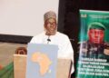 Speaker hails Niger’s consultative council as beacon of renewal