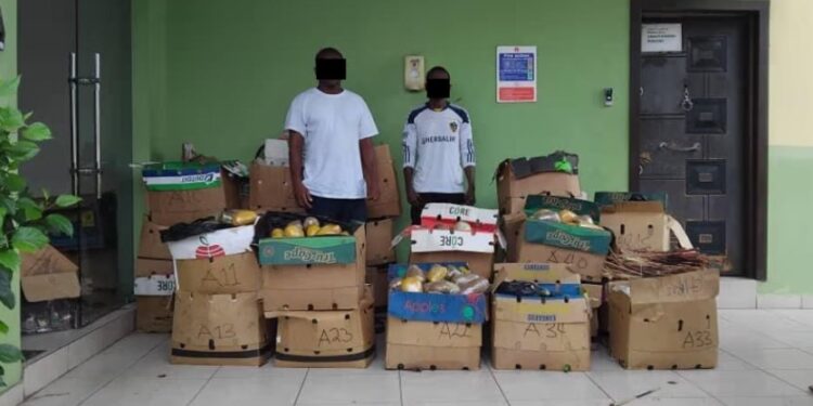 NACOC seizes cannabis at Swissport Terminal; 2 arrested, 2 at large