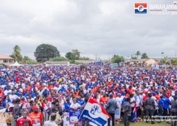 NPP Delegates Conference to proceed despite petition – Osei-Owusu